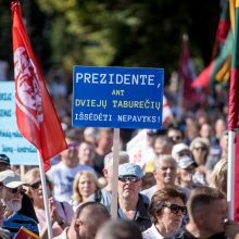 Opozicija įvertino per mitingą sustiprintą Seimo apsaugą: iki ko turėjome nusiristi