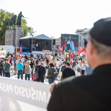 Opozicija įvertino per mitingą sustiprintą Seimo apsaugą: iki ko turėjome nusiristi