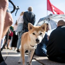 Vilniuje – tūkstantinis protestas: su plakatais „Ne gyvulių pasui“ ir „Dž. Sorošą lauk iš Lietuvos“