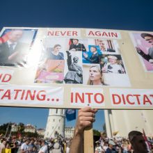 Opozicija įvertino per mitingą sustiprintą Seimo apsaugą: iki ko turėjome nusiristi