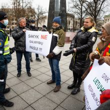 Protesto basomis prieš galimybių pasą dalyvė: atėjau, kad „atsiknistų“ jie nuo mūsų vaikų