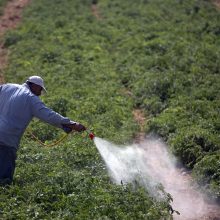 Tyrimas: 1,5 proc. ekologiškų produktų viršyti leistini pesticidų kiekiai
