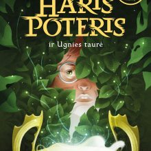 Hario Poterio fenomenas: kodėl knygas skaito ir vaikai, ir suaugusieji?