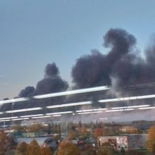 Alytuje degančios įmonės vadovas atmeta padegimo versiją, o ministras mano kitaip