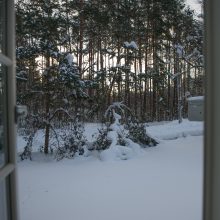 V. Radzevičiui sodyba Dzūkijoje – puiki vieta ir dirbti, ir galvą atvėsinti