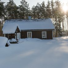 Nostalgija: Vytarui apsnigti Dzūkijos miškai primena sniego gausias vaikystės žiemas.