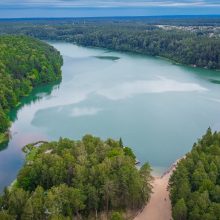 Po virtualių Lietuvos bėgimo taurės apdovanojimų – naujos ambicijos 2021 metams