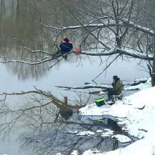 Vietoj šventės – gaudyti stintų: po Naujųjų kasdien šansai vis didėja