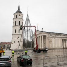 Vilniuje pradėta statyti Kalėdų eglė, papuošimai nušvies ir kitas sostinės centrines dalis