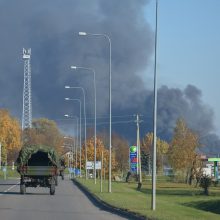 Alytuje degančios įmonės vadovas atmeta padegimo versiją, o ministras mano kitaip