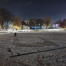 Kalniečių parko tvenkinys virto ledo arena: specialistai įspėja apie pavojų