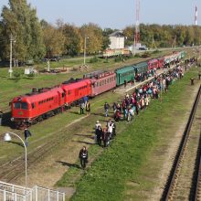 Anykščių rajone bus švenčiamas 124-asis siauruko gimtadienis