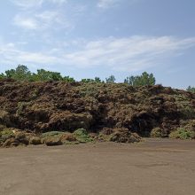 Žaliosios atliekos: kompostuoti, vežti į aikšteles arba užsisakyti jų išvežimo paslaugą