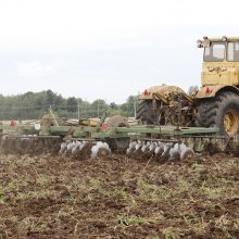 Žemdirbiai: rugiapjūtė eina į pabaigą, lieka nuimti apie 10 proc. derliaus