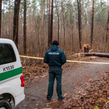 Kas pavertė Kleboniškio mišką sprogdinimų poligonu?