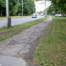 Beda pirštu į Dainavos rajono piktžaizdes: jau darosi nebejuokinga