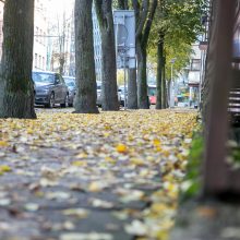 Beda pirštu į lapais nuklotas Kauno gatves: tikrų tikriausia čiuožykla!