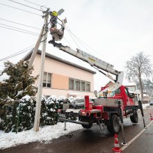 Autobusas Vičiūnuose nulaužė pušį, ši virsdama nutraukė elektros laidus
