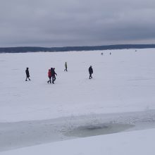 Neatsakingas elgesys: ant Kauno marių ledo lipa būriais