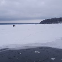 Neatsakingas elgesys: ant Kauno marių ledo lipa būriais