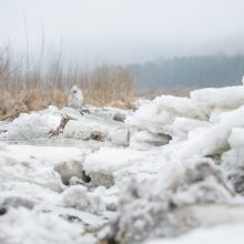 Grėsmė tolsta: Neryje vanduo nebekyla, potvynio nenusimato