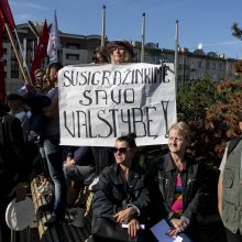 Protestas neapsiėjo be incidentų: sumuštas žmogus, sulaikyti du girti ir vienas su narkotikais