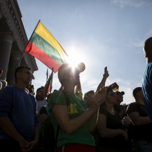 Protestas neapsiėjo be incidentų: sumuštas žmogus, sulaikyti du girti ir vienas su narkotikais