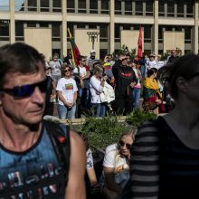 Protestas neapsiėjo be incidentų: sumuštas žmogus, sulaikyti du girti ir vienas su narkotikais