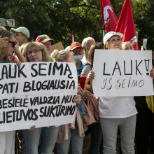 Žydų atstovai, I. Šimonytė pasmerkė Holokausto simbolikos naudojimą mitinge prie Seimo