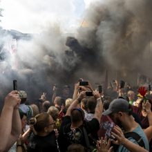 Protestas neapsiėjo be incidentų: sumuštas žmogus, sulaikyti du girti ir vienas su narkotikais