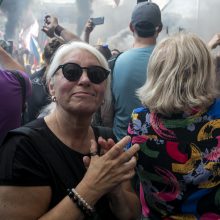 Protestas neapsiėjo be incidentų: sumuštas žmogus, sulaikyti du girti ir vienas su narkotikais