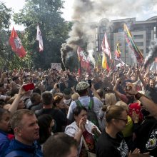 Protestas neapsiėjo be incidentų: sumuštas žmogus, sulaikyti du girti ir vienas su narkotikais