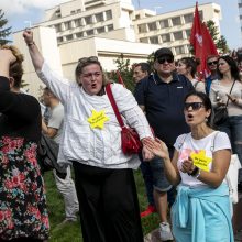 Protestas neapsiėjo be incidentų: sumuštas žmogus, sulaikyti du girti ir vienas su narkotikais