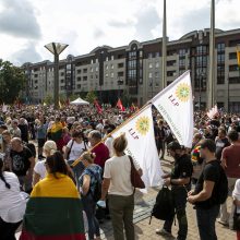 Protestas neapsiėjo be incidentų: sumuštas žmogus, sulaikyti du girti ir vienas su narkotikais