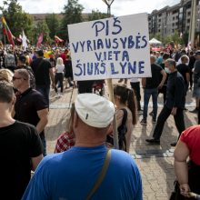 Protestas neapsiėjo be incidentų: sumuštas žmogus, sulaikyti du girti ir vienas su narkotikais