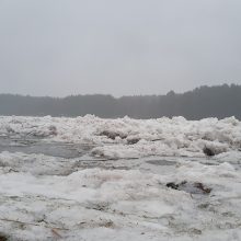 Kaunietę nustebino ties Birštonu susidariusios ledų sangrūdos