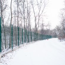 Šiurpi Zoologijos sodo mįslė – su vagystės šešėliu