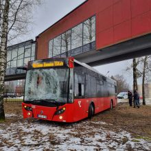 Per plauką nuo tragedijos: autobuso vairuotojas prarado sąmonę ties posūkiu, kur jo laukė keleiviai