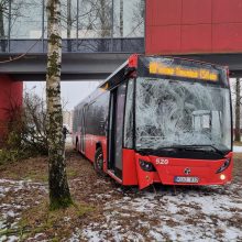 Per plauką nuo tragedijos: autobuso vairuotojas prarado sąmonę ties posūkiu, kur jo laukė keleiviai