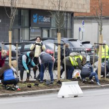 Sostinės meras rengia talką: padėkime Savanorių prospektui sužaliuoti