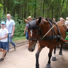 Į Rumšiškes subūrė Žolinių šventė: stebino puokščių gausa