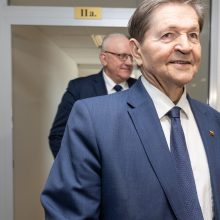 Premjerė apie tyrimą: Seimas negali atlikti Generalinės prokuratūros darbo