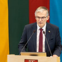 Premjerė apie tyrimą: Seimas negali atlikti Generalinės prokuratūros darbo