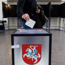 Dalyvauti referendume ir prezidento rinkimuose registravosi 48 tūkst. užsienio lietuvių