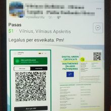 Įžūlumui nėra ribų: galimybių pasą parduoda net skelbimuose