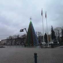 Po nusivylimo atodūsių Vilniaus egle – savivaldybės atsakas: tai – tik pradžia