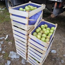 Kaune tarp obuolių krovinio sulaikyta 2,58 mln. eurų vertės rūkalų siunta