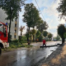 Po siautusios audros elektros vis dar neturi apie 10 tūkst. vartotojų