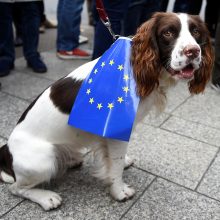 Londono gatves užkimšę demonstrantai reikalavo naujo balsavimo dėl „Brexit“