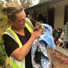 Lietuvė papasakojo apie siaubą Australijoje: širdį veria apokaliptiniai vaizdai